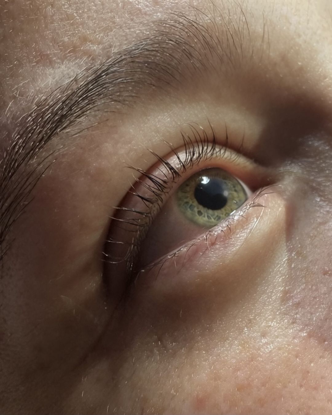 Lash and Brow Services at Iridescence Salon & Spa